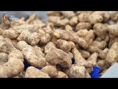 Коммерческая овощная стиральная машина и устойчивая уборка Ресторан Продовольственный магазин