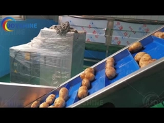 Линия по производству картофеля фри